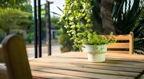 a potted plant sitting on top of a wooden bench at The Loom Rangsit in Pathum Thani