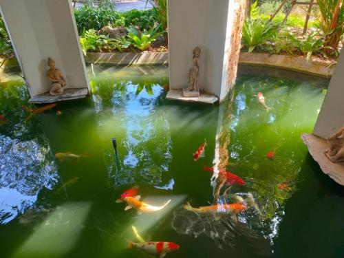 a koi pond in a house with kites in it at khaoyai lumtakong hotel in Mu Si