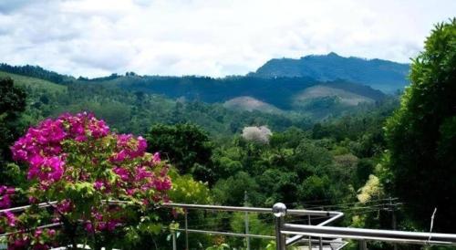 a view of a valley with trees and flowers at Hotel Uva Rest Sanasta in Badulla