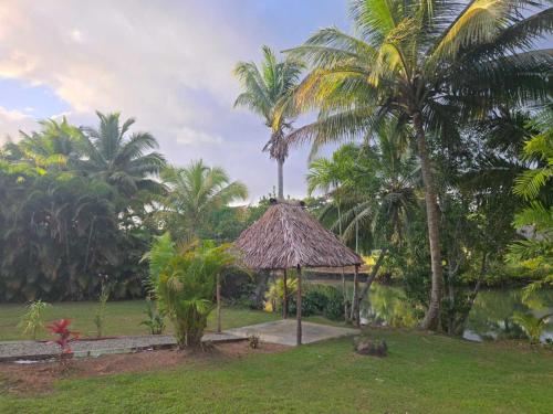 a gazebo in a park with palm trees at MIRZ Accomodation in Pacific Harbour