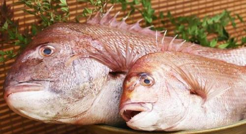 a fish head on top of a bowl at Chisun Hotel Utsunomiya in Utsunomiya