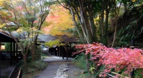 a path in a park with trees and flowers at Myoken Ishiharaso in Kirishima