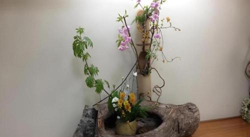 a rock planter with flowers and plants in it at Towadako Lakeside Hotel in Towada