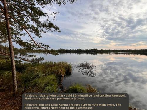 a large body of water with trees and clouds at Napu Puhkemaja in Rabivere