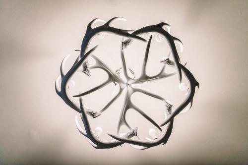 a heart shaped glass object with flowers on it at The Stag at Stow in Stow on the Wold