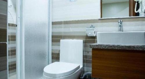 a bathroom with a toilet and a sink and a mirror at Hotel Fleur de Liz in Panglao