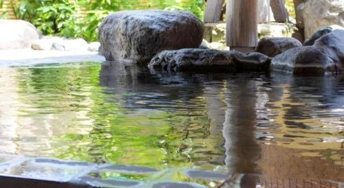 a pond of water with rocks in a garden at Yuzawa New Otani in Yuzawa