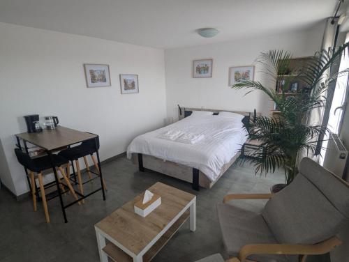 Appartement cosy, calme et lumineux à Strasbourg