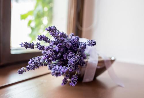 a vase of purple flowers sitting on a window sill at Pirnscher Hof - Hotel Garni in Pirna
