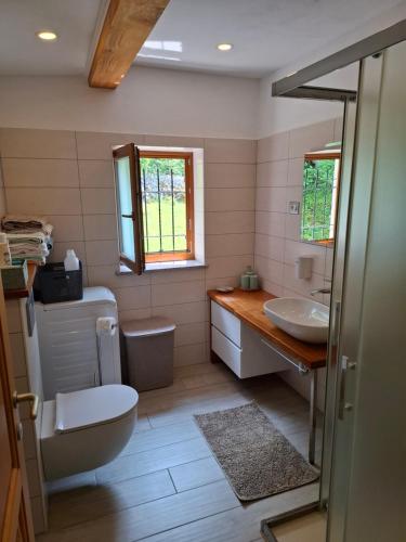 a bathroom with a toilet and a sink at APARTMA ANA IDA in Srpenica