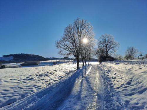 a snow covered road with trees in a field at Hotel Winterberg Resort in Winterberg