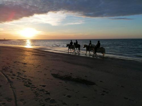 a group of people riding horses on the beach at Minicamping Hoeve het Tij in Vrouwenpolder