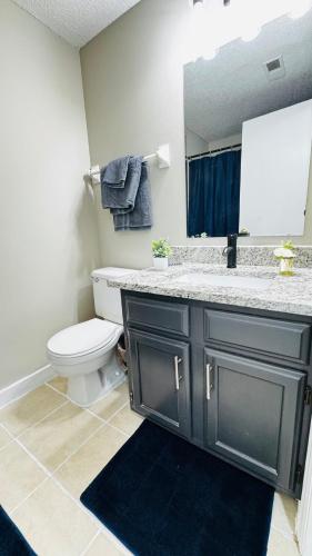 a bathroom with a toilet and a sink and a mirror at Lavish Escape in Charlotte