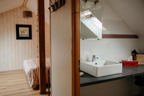 a bathroom with a sink and a mirror at Le Clos De La Roche in Goven
