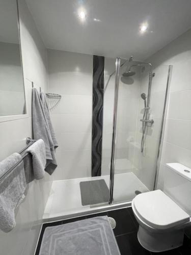 a bathroom with a shower and a toilet at Casa Serena - Sucina in Sucina