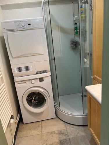 a washing machine and a shower in a bathroom at Appartement au pied des pistes à Roche-Béranger in Chamrousse