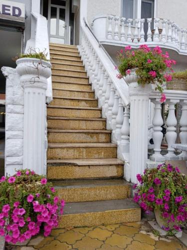 a white stairway with flowers in potted plants at Garsonjere Bijoss in Novi Sad
