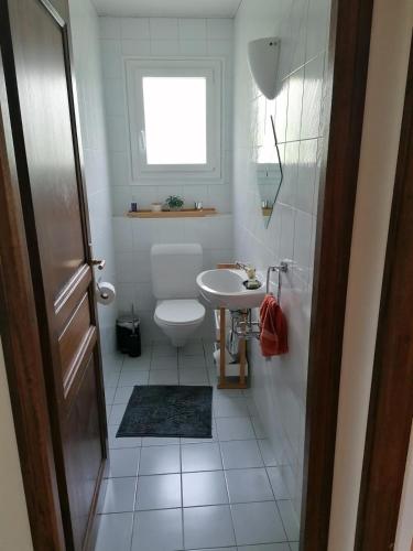 a white bathroom with a toilet and a sink at Comfortable apartment a stone's throw from Nyon in Duillier