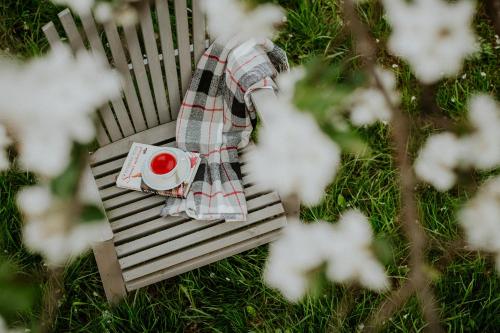 a scarf sitting on a bench in the grass at Kosbor Panzió in Magyarszombatfa