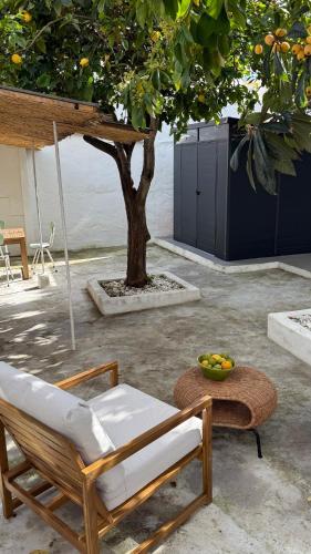 Lemon and avocado house