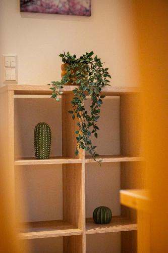 Fotografie z fotogalerie ubytování Appartements Jupp und Hilde v destinaci Ernst