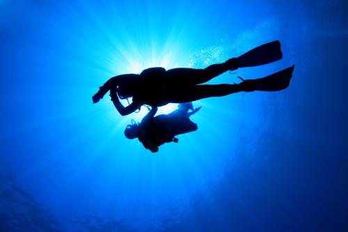 a person swimming in the water with the sun behind them at Lady Butterfly in Tučepi