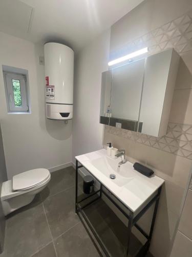 a bathroom with a white sink and a toilet at Le ONZE in Longwy