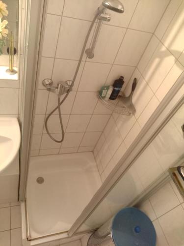 a shower in a bathroom with a sink at Schönes, zentral gelegenes Zimmer mit Südbalkon in Munich