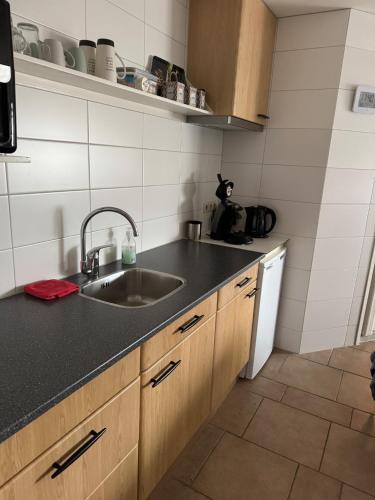 Kuchyň nebo kuchyňský kout v ubytování Bed no Breakfast Waddenzee Texel