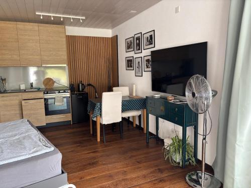 Η κουζίνα ή μικρή κουζίνα στο Luxury Studio, Hillside View in Mettau,