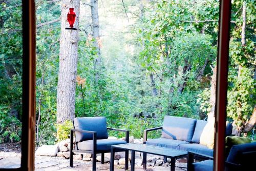 a patio with a red bird feeder on a tree at Cozy Cabin Retreat in Midway in Mound City