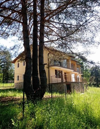 Margarita Mountain Apartments