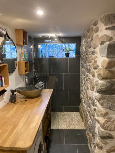 a bathroom with a stone wall and a sink at Maison deux chambres avec grand jardin in Grésy-sur-Aix