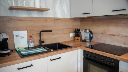 a kitchen with a sink and a counter top at GW Apartment 2 in Meppen