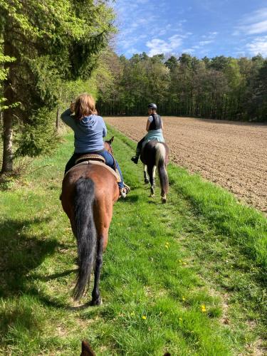 two people riding on horses in a field at Hacienda del Piero in Poppendorf im Burgenland