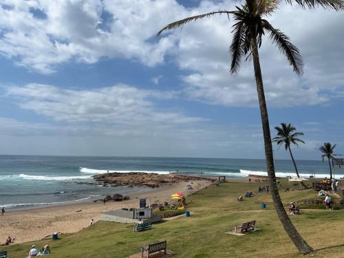 a beach with a palm tree and the ocean at Seewindelaan in Scottburgh