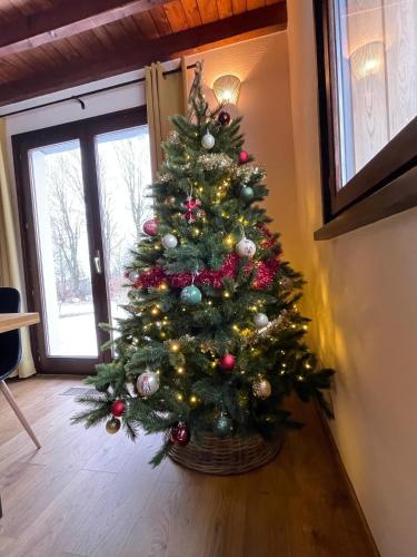 a christmas tree in a room with a door at Gîte La Borbotte in Malmedy