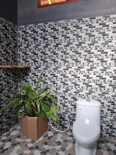a bathroom with a white toilet and a plant at Eddo Homestay in Kri
