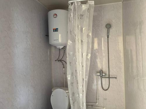 a bathroom with a shower curtain and a toilet at Guest House Kaiyndy in Kaindy
