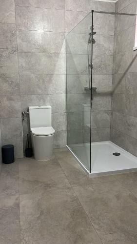 a bathroom with a toilet and a glass shower at Colt de Apuseni Guesthouse in Curăţele