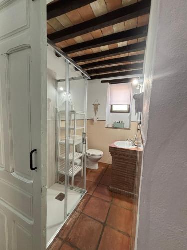 a bathroom with a toilet and a glass shower at La casa vieja de Marchenilla in Jimena de la Frontera
