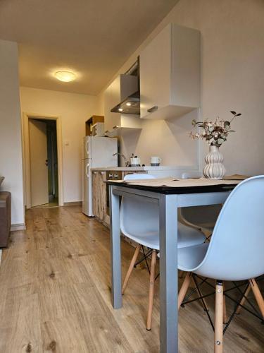 Kuchyň nebo kuchyňský kout v ubytování Apartment Pud Oreh