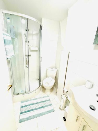 a white bathroom with a shower and a toilet at One Bedroom Flat A in Kentish Town in London