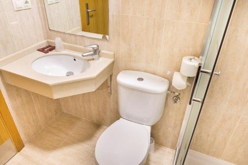 a small bathroom with a toilet and a sink at Hotel San Lázaro in Santiago de Compostela