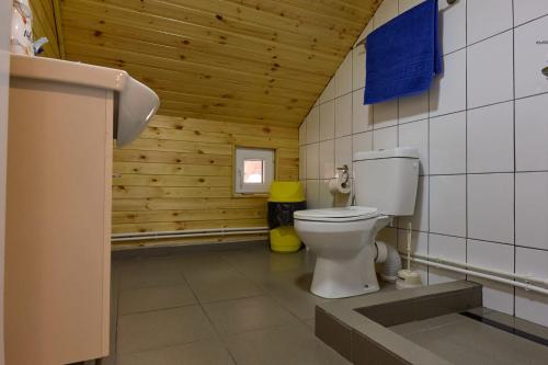 a bathroom with a toilet in a room with wooden walls at Cabana Valea Lui Bogdan in Coada Izvorului