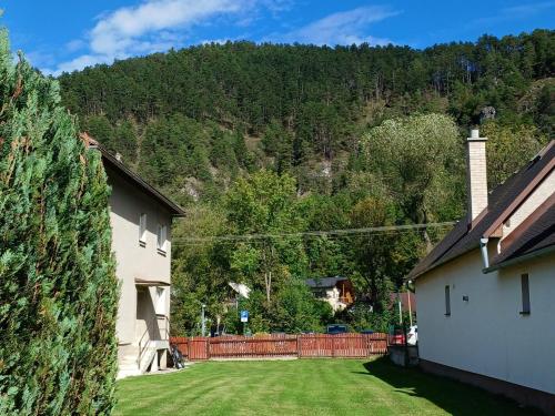 a yard with a house and a mountain in the background at Apartmán pri Gaderskej bráne in Blatnica