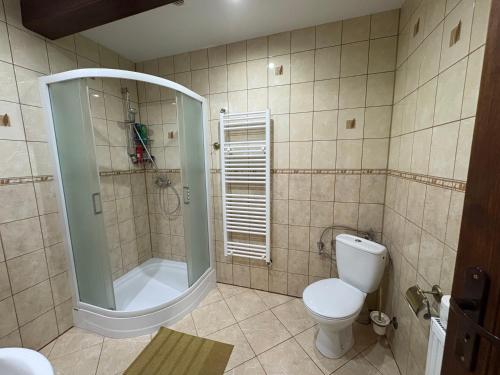Un baño con ducha y WC. en Domek myśliwski, 