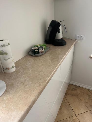 a counter top with a blender on top of it at Niedras place in Degole