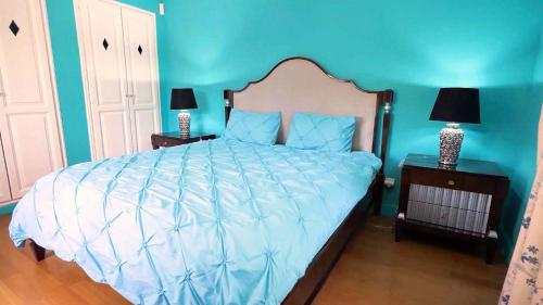 Un dormitorio con una cama grande con paredes azules. en Domaine Royal, en Nimes