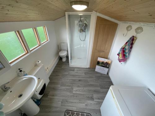 a bathroom with a sink and a toilet and a shower at Sauna, Hot Tub & Cold Plunge Pyramid Escape in Lindridge